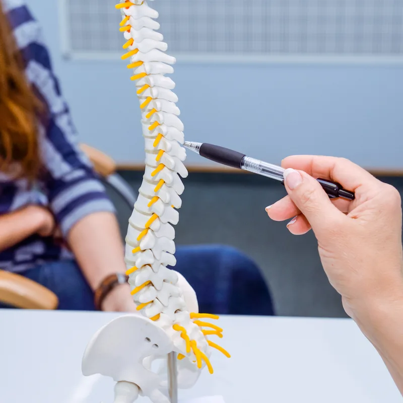 Chiropractic Fitness — serving Arboretum, NC patients (1)