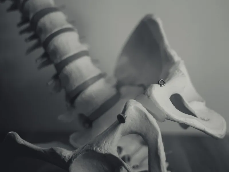 Spinal X-Rays at Chiropractic Fitness in Charlotte